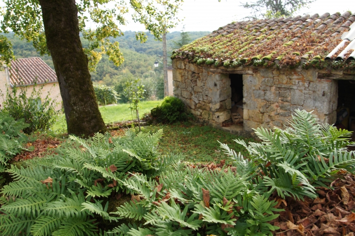 Dans le village. - Montcabrier