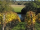 Photo précédente de Parnac les vignes au bord du Lot