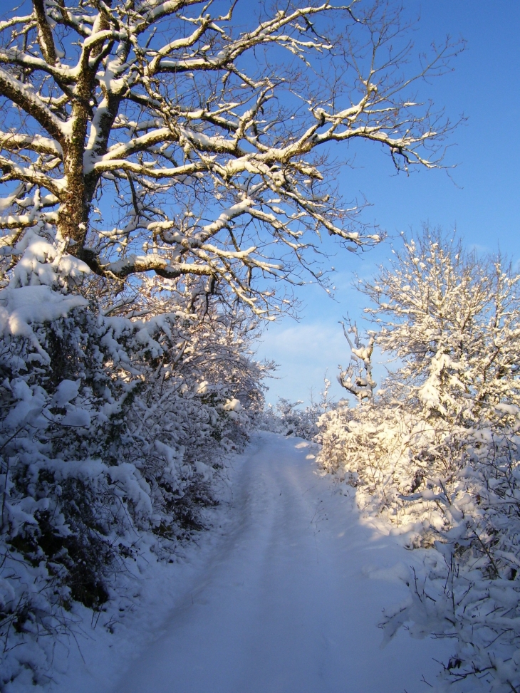 Qu elle est belle notre campagne sous la neige - Reilhaguet