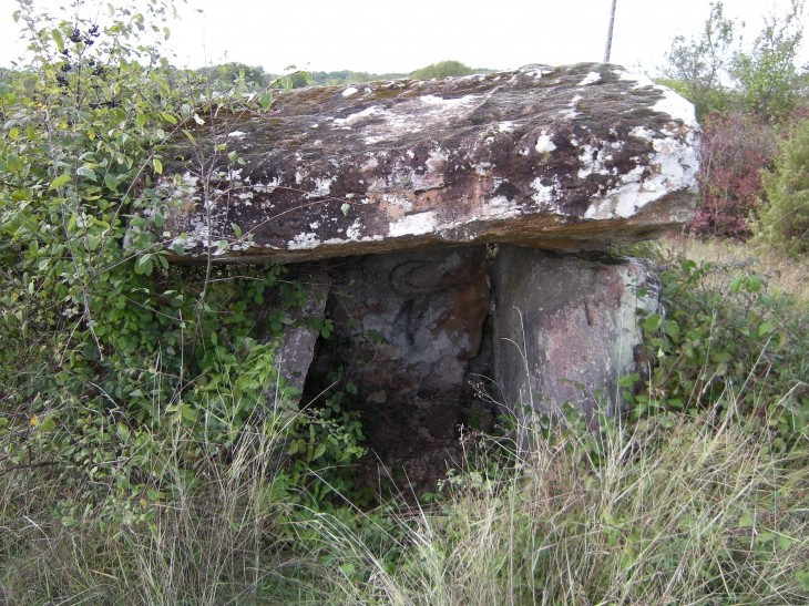 Le dolmen - Reilhaguet