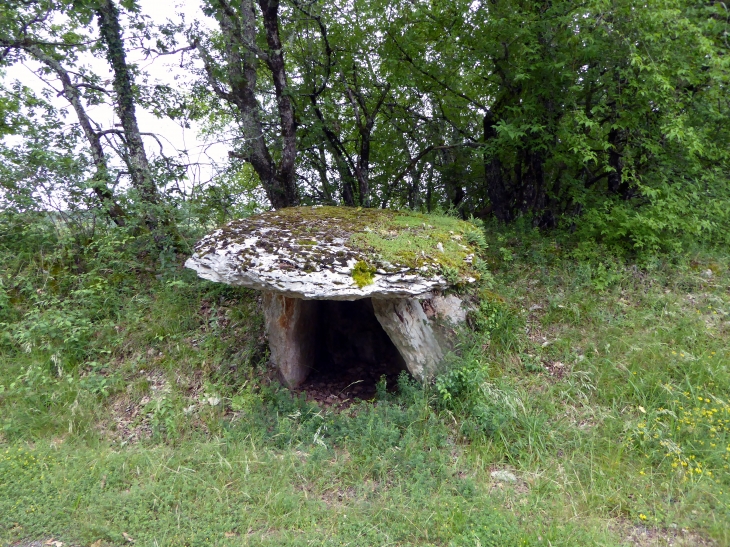 Dolmen - Saint-Chels