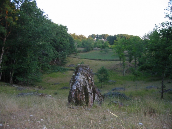 Menhir du Mamouth - Saint-Clair