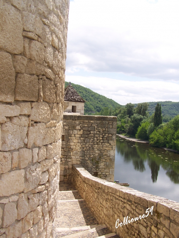 Chateau de La Treyne-sur-Dordogne commune de Souillac ( Lot )