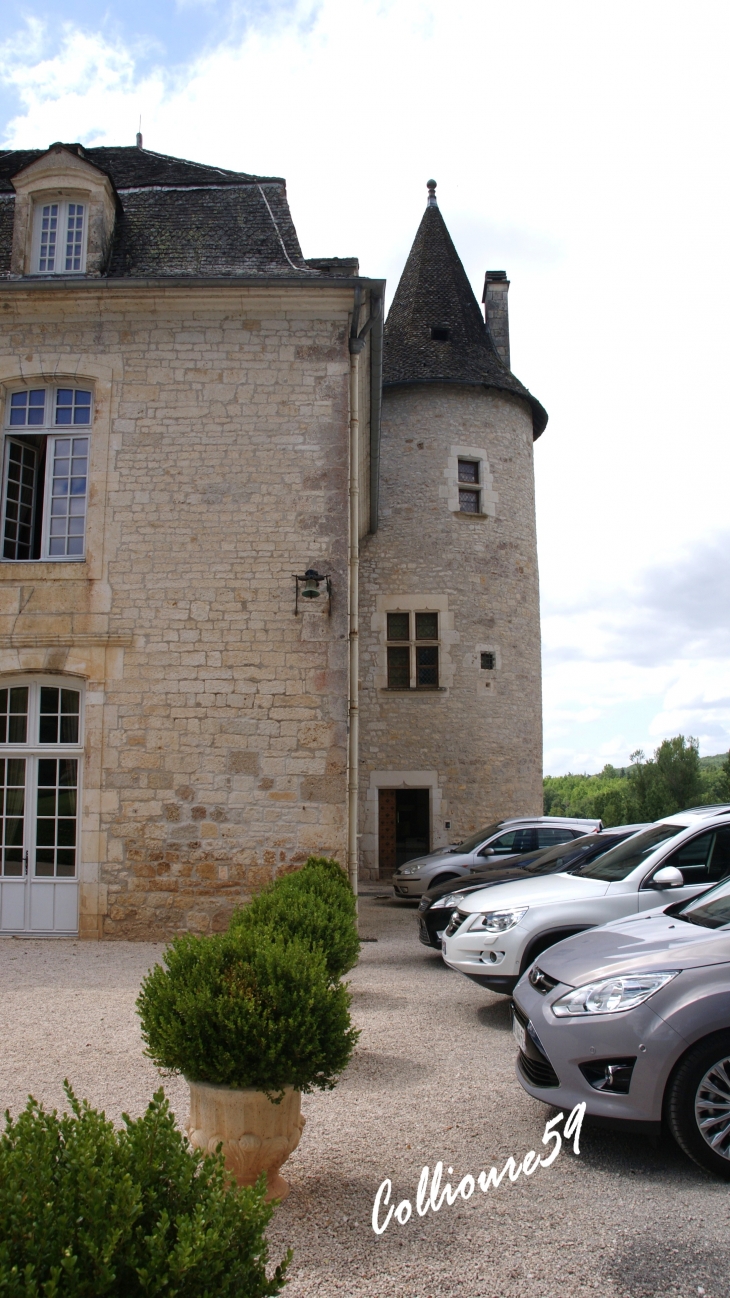 Chateau de La Treyne-sur-Dordogne commune de Souillac ( Lot )