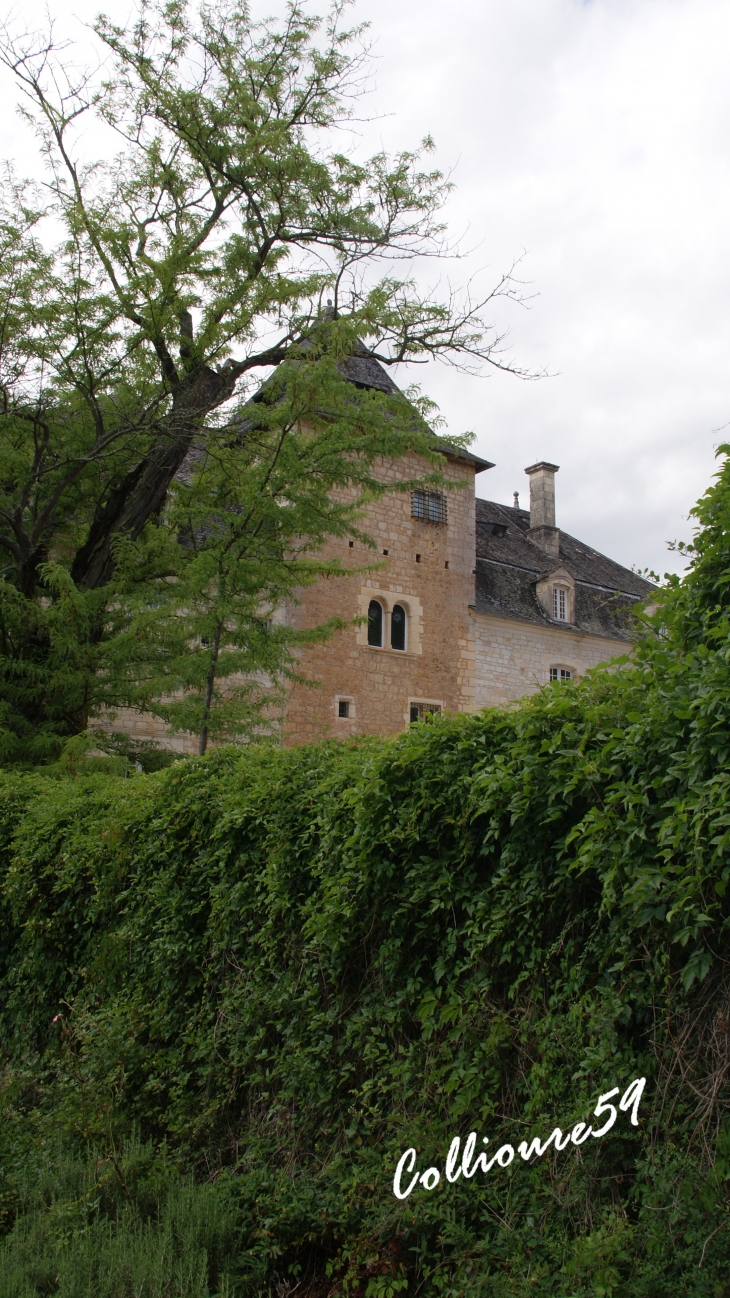 Chateau de La Treyne-sur-Dordogne commune de Souillac ( Lot )