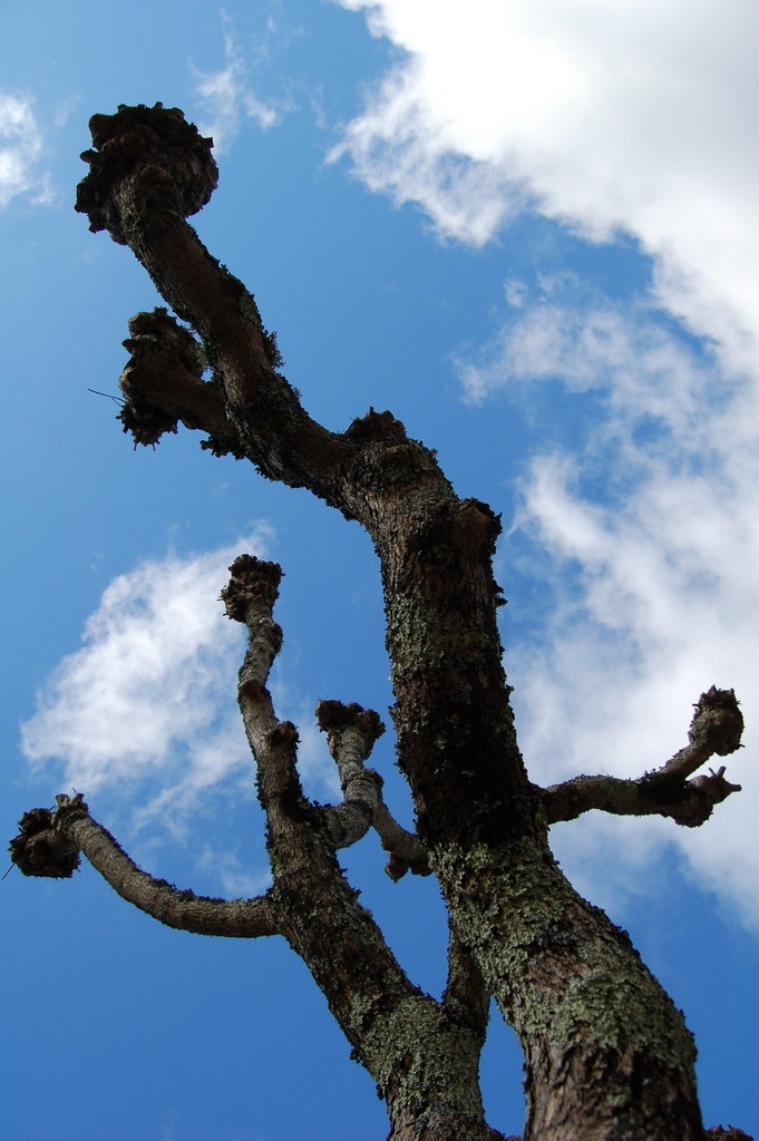 Le clos bouyssac Touzac