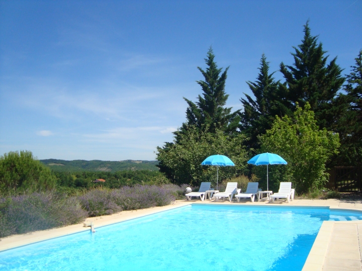 La piscine au gites du Mas des Cyprès - Valroufié