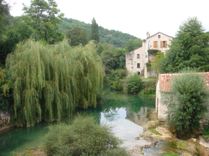 Le Vers vu du pont