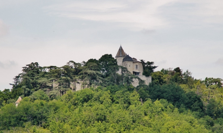 Château de Brassac