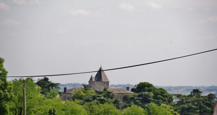 Château de Brassac