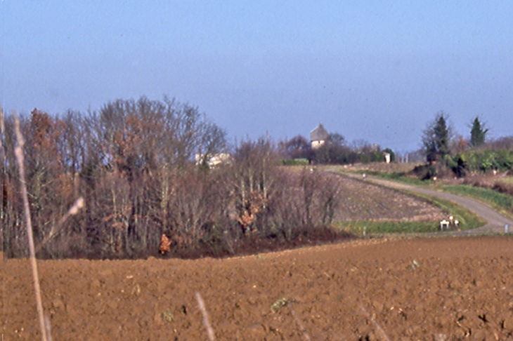 Le Moulin vu depuis Borde Basse - Castéra-Bouzet