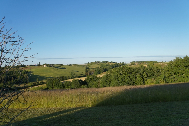 Aux alentours. - Durfort-Lacapelette