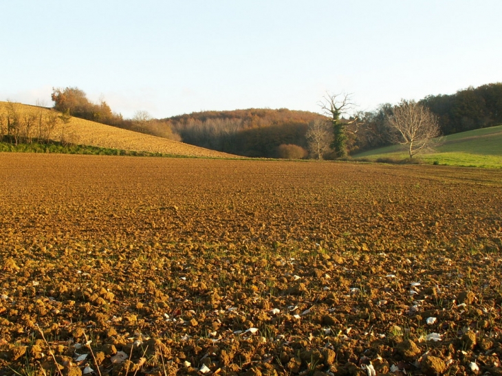 Campagne aux alentours - Escazeaux