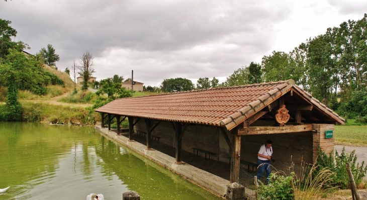 Le Lavoir - Garganvillar