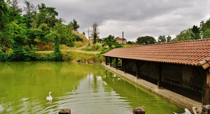 Le Lavoir - Garganvillar