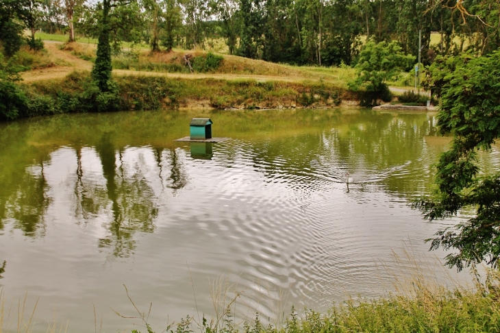 étang du Lavoir - Garganvillar