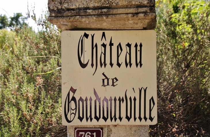 Le Château - Goudourville