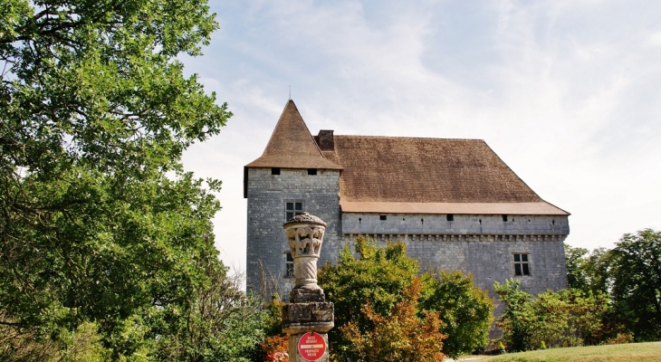 Le Château - Goudourville