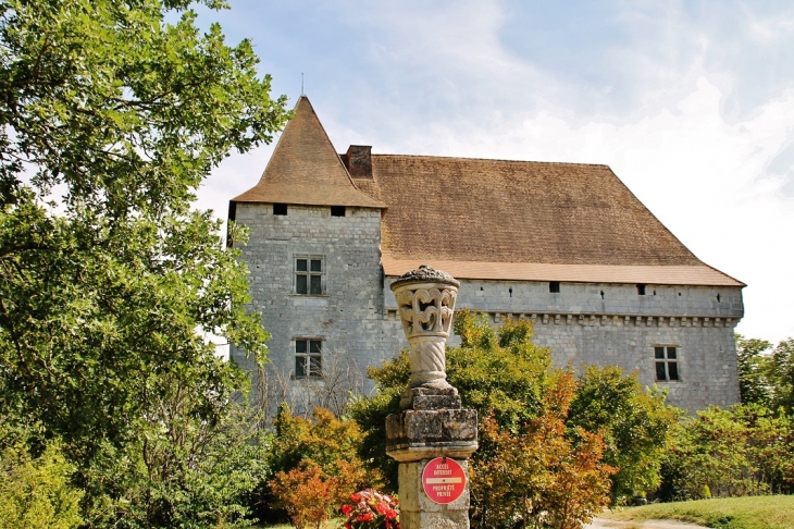 Le Château - Goudourville