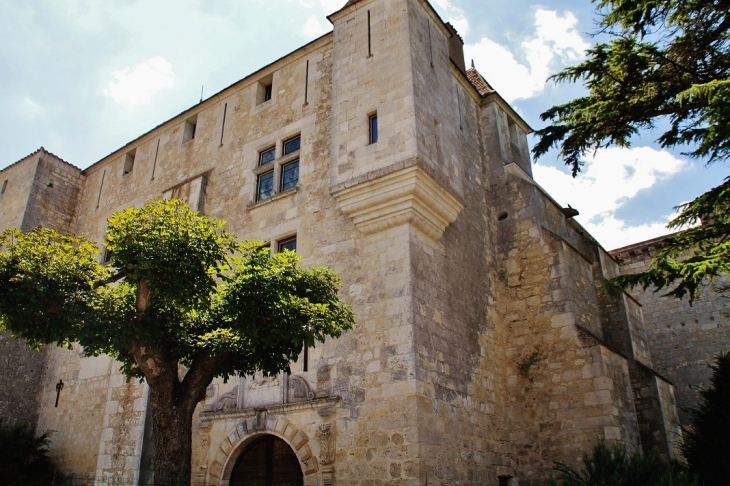 Le Château - Gramont