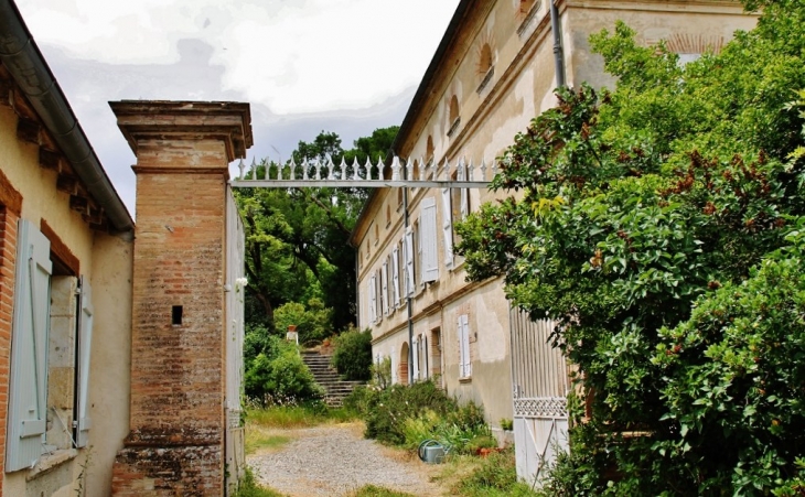 Le Château - Lamothe-Cumont