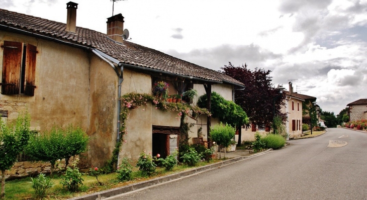 Le Village - Le Pin