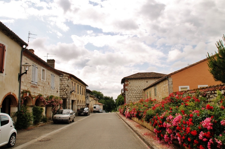 Le Village - Le Pin