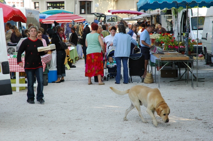 Jour de marché - Montaigu-de-Quercy