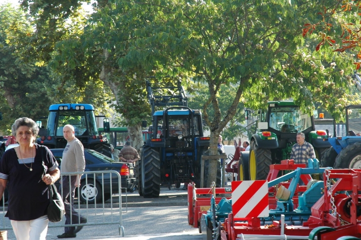 Marché agricoles aux occasions - Montaigu-de-Quercy