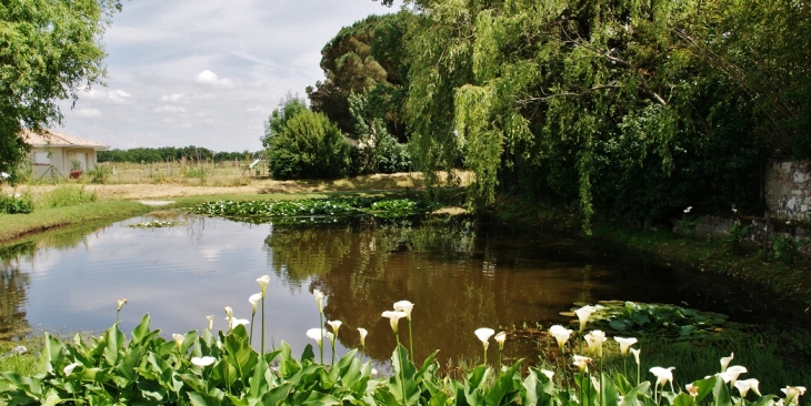 Parc de la Mairie - Montaïn