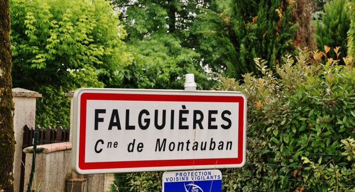 Falguieres commune de Montauban