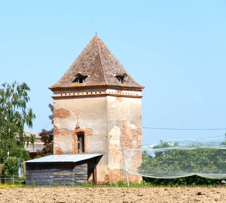 Aux-alentours-un ancien-pigeonnier - Montech