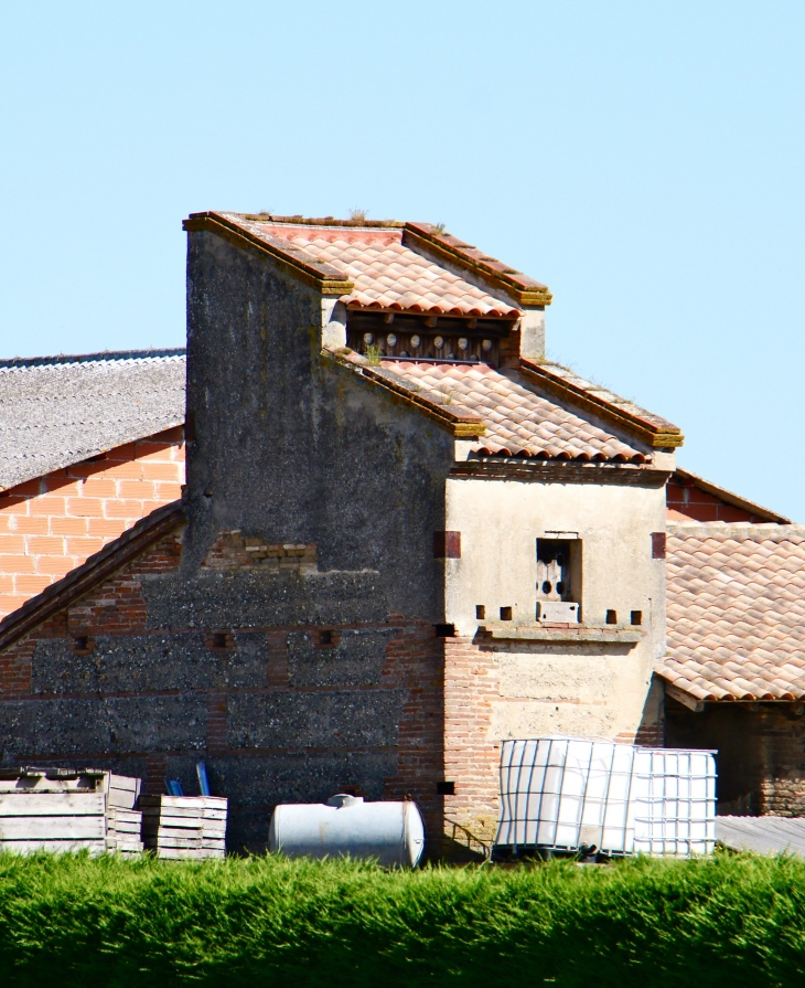 Aux alentours : un ancien pigeonnier. - Montech