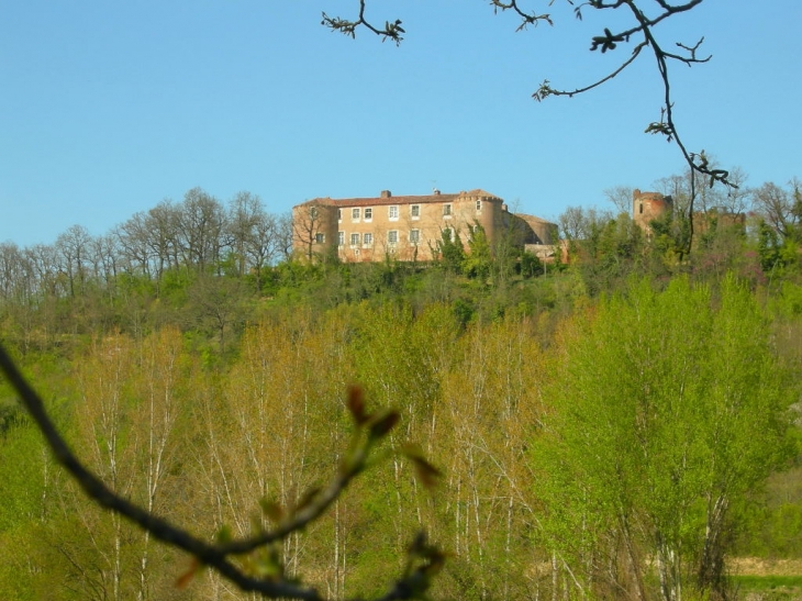 Le château de Piquecos