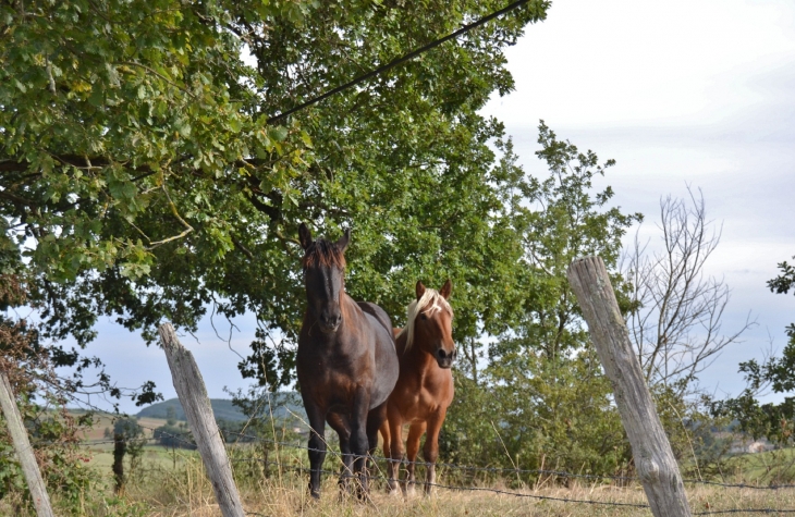  - Puygaillard-de-Quercy