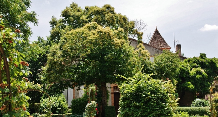 Le Village ( Le Jardin-de-Sylvie ) - Saint-Sardos