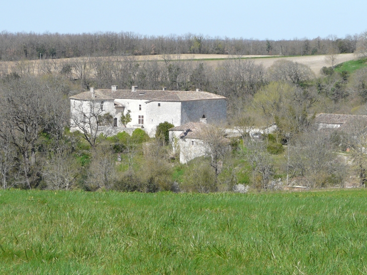 Le château de Quissac   Crédit : André Pommiès - Valeilles