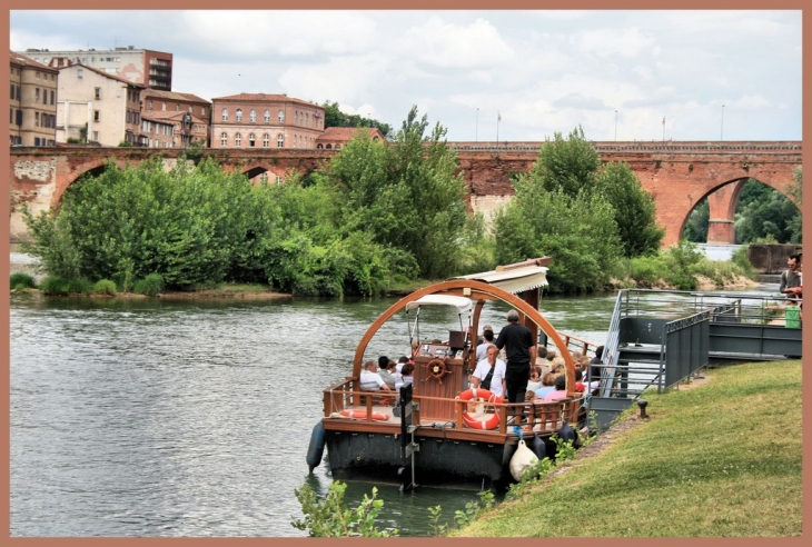 Gabarren sur le Tarn - Albi