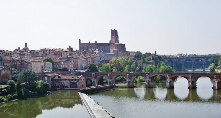 Le Pont-Vieux et la Cathédrale Sainte-Cecile 13 em Siècle - Albi