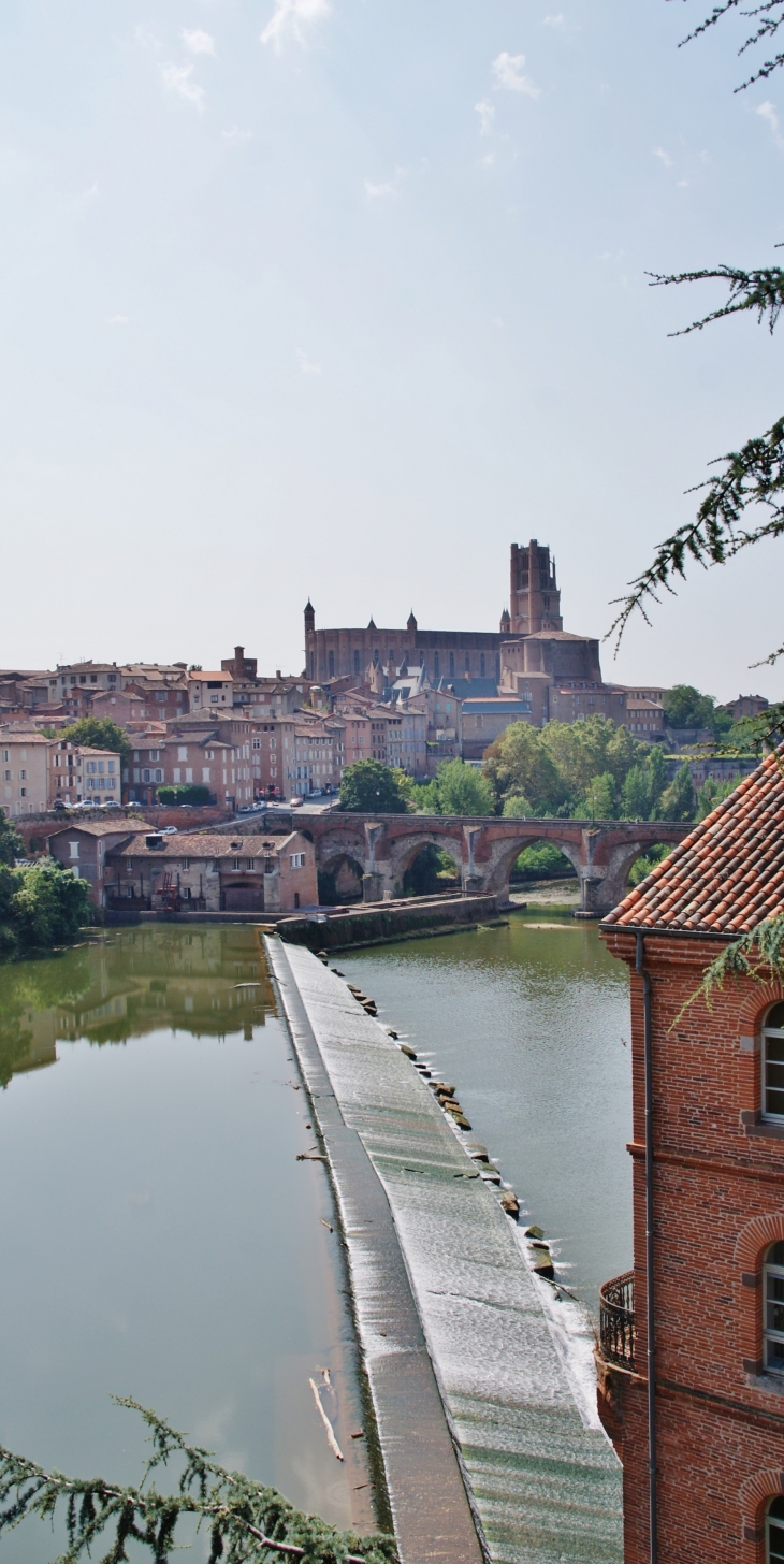 La Cathédrale Sainte Cécile 13 Em Siècle - Albi