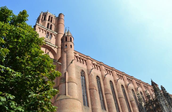 Cathédrale Sainte-Cécile 13 Em Siècle - Albi