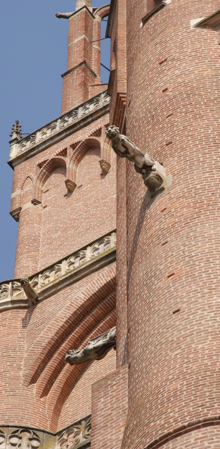 Cathédrale Sainte-Cécile 13 Em Siècle - Albi