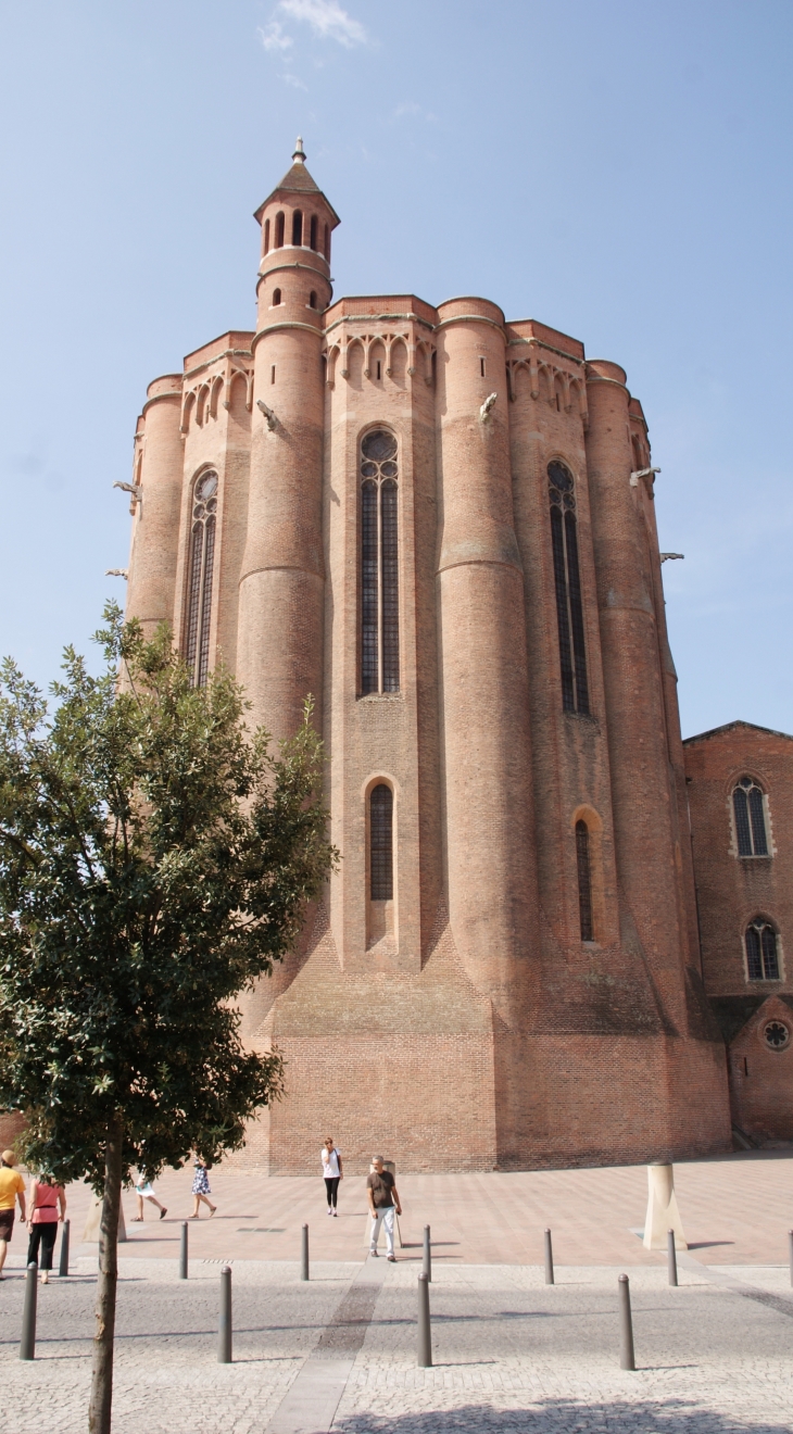 Cathédrale Sainte-Cécile 13 Em Siècle - Albi