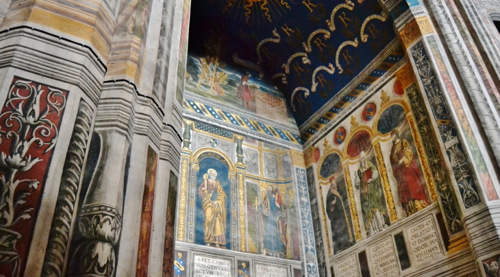 Cathédrale Sainte-Cécile 13 Em Siècle - Albi