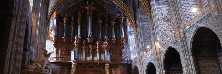 Cathédrale Sainte-Cécile 13 Em Siècle - Albi