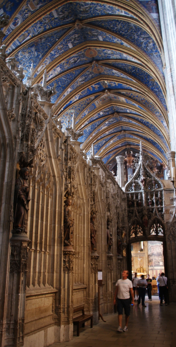 Cathédrale Sainte-Cécile 13 Em Siècle - Albi