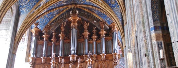 Cathédrale Sainte-Cécile 13 Em Siècle - Albi