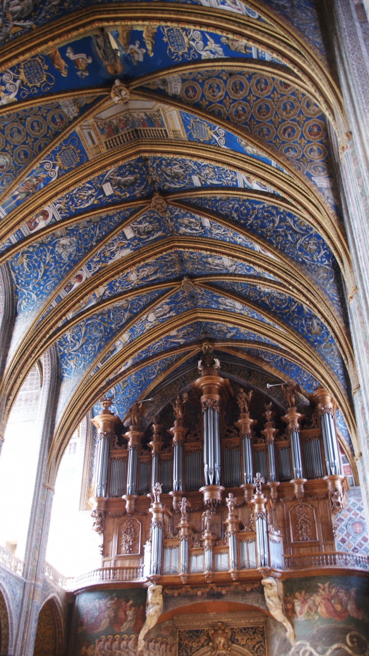 Cathédrale Sainte-Cécile 13 Em Siècle - Albi