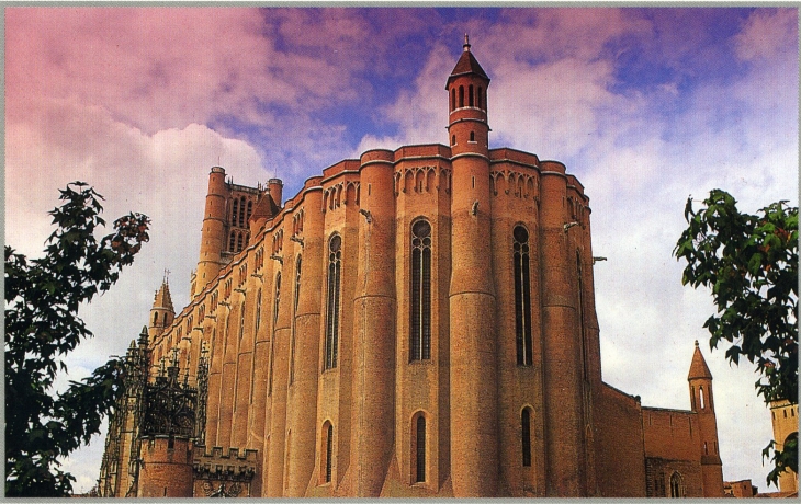 La Cathédrale Sainte Cécile (carte postale de 1990) - Albi