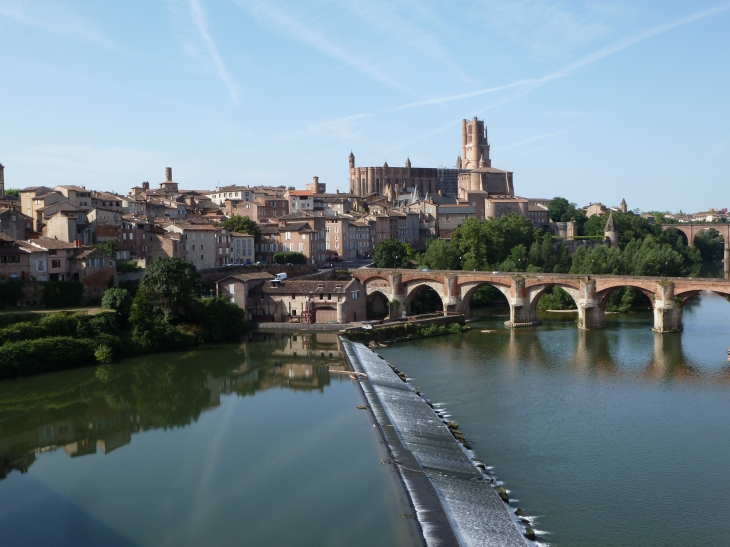 Albi